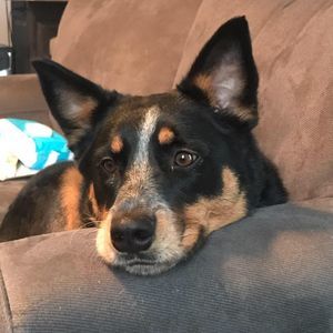 Meet your Posher, Erika